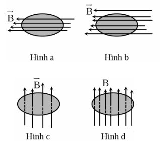 1745291755_9b3a760c7ccce01da5c838e2c6911f07.png
