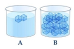 1745557476_cd65385ddc5c9c707f430fc8cda210c2.png