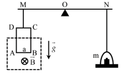 1745636982_10a026a657d3d2c41a295884c848474a.png