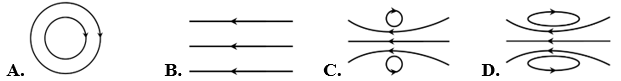 1745808284_f97cf0da5106e6b8c8ce92a130313694.png