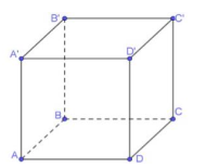 1747103091_d71b53d5a550114cc2df53f1e9608d08.png