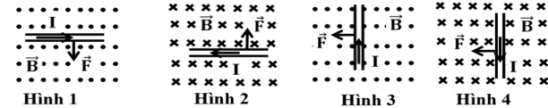 1747280728_e28bb8dcfec9cfb4daab9078b90efca5.png