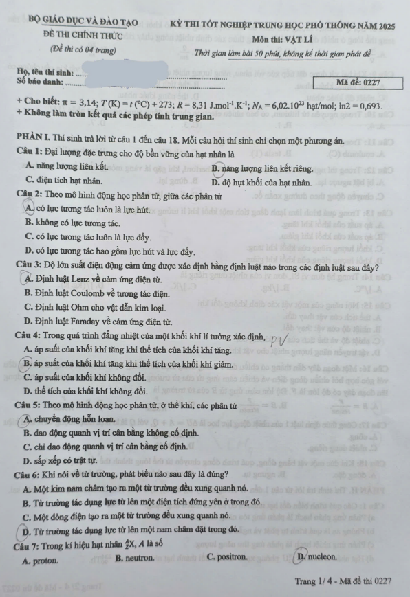 1750996819_4616d0894456cf4abbd2752737639f7e.png